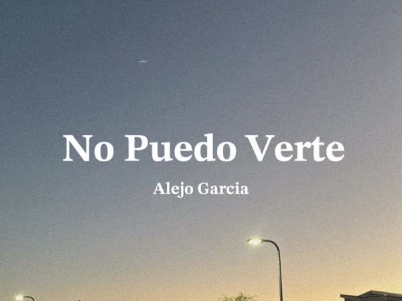NO PUEDO VERTE (Single)