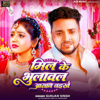Mil Ke Bhulawal Aasan Naikhe (Single)