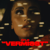 Vermisst (Single)