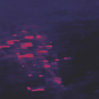 motionless, watching you (Single)