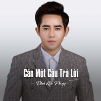 Cần Một Câu Trả Lời (Single)