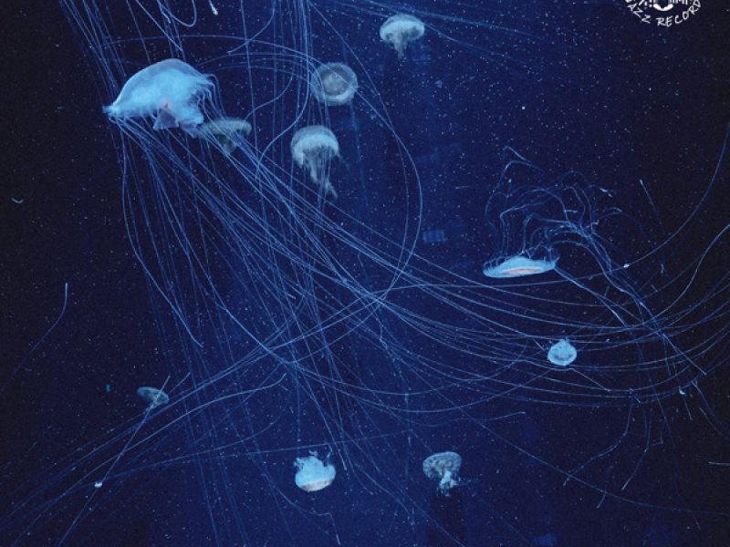 Jellyfish (Single)