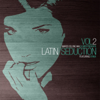 Latin Seduction, Vol. 2