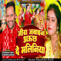 Jeera Jawain Aunchh De Maliniya (Single)