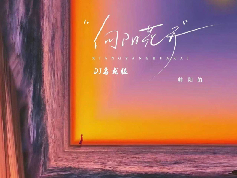 向阳花开 (DJ名龙版) (Single)