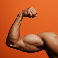 O lado bom da força