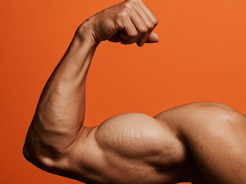 O lado bom da força