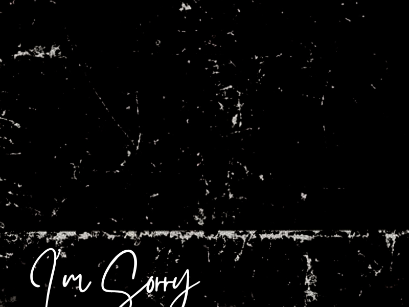 I'm Sorry (Single)