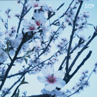 impossível esquecer (Single)