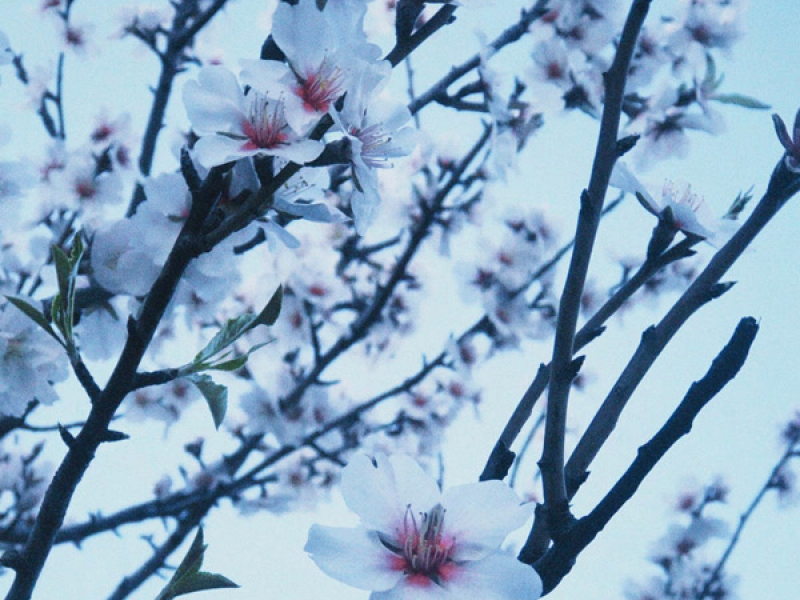 impossível esquecer (Single)