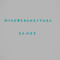 我们不会再见面这就是分别的意义 (Single)