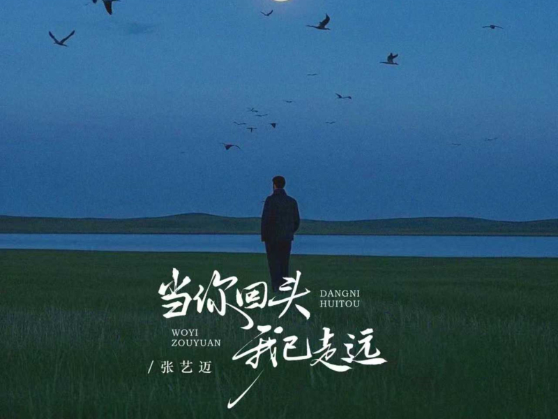 当你回头我已走远 (EP)