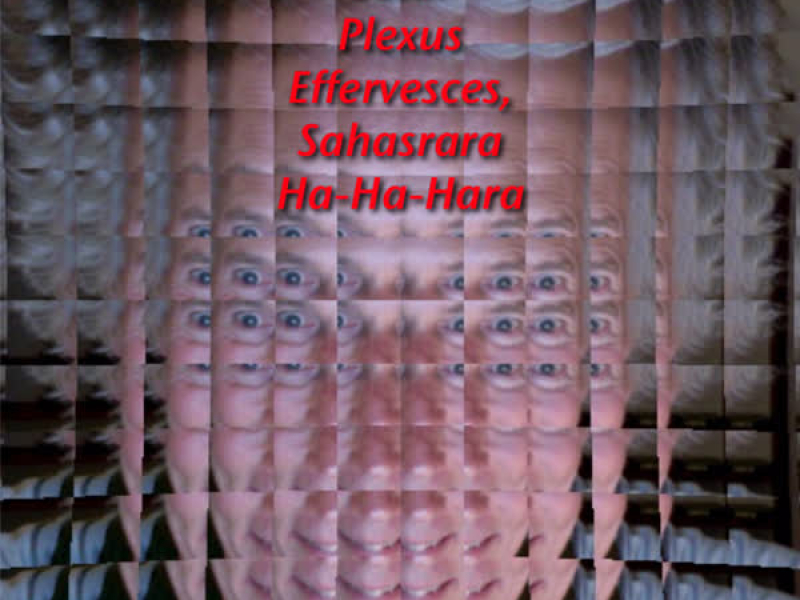 Solar Plexus Effervesces, Sahasrara Ha-Ha-Hara