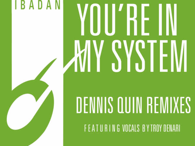 You're in My System (Dennis Quin Remixes)