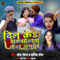 Dil Ke Jhakjhorata Tor Angrai (Single)