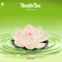 The One (Jengi remix) (Single)