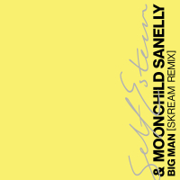 Big Man (Skream Remix) (Single)