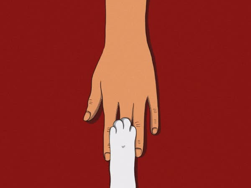 The Cat House (Single)