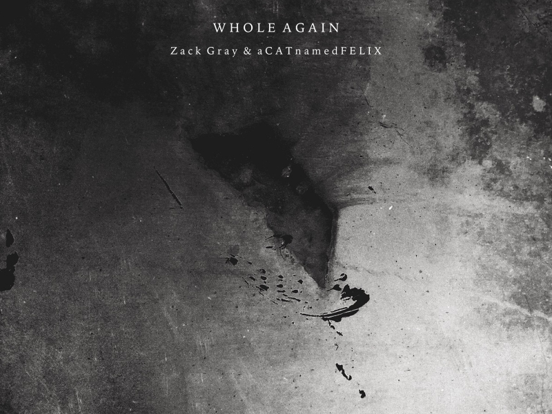 Whole Again (Single)