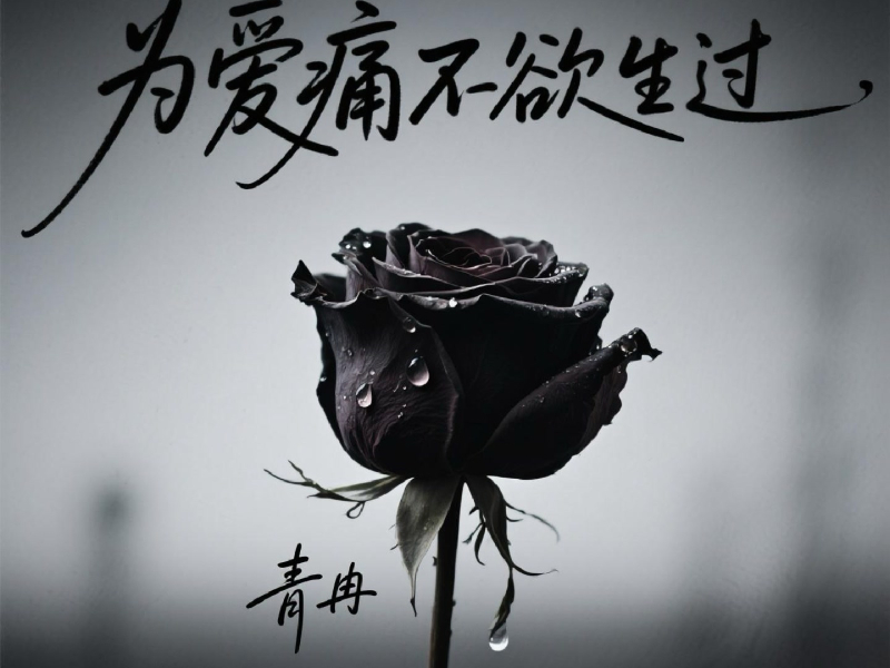 为爱痛不欲生过 (Dj浩然版) (Single)