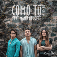 Como Tú (Te Fuiste) (Acústico) (Single)