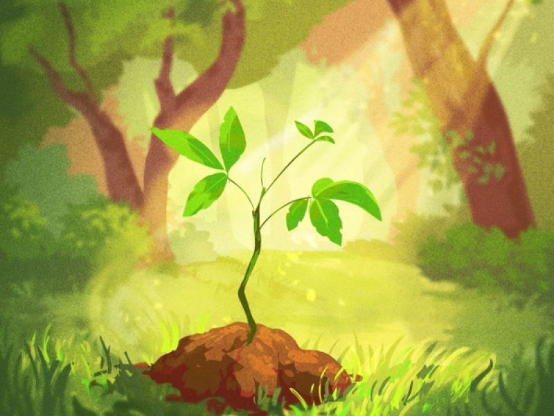 we all start somewhere (EP)