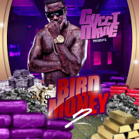 Bird Money 2