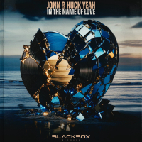 In The Name Of Love (Single)