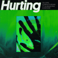 Hurting (Conducta Remix) (Single)