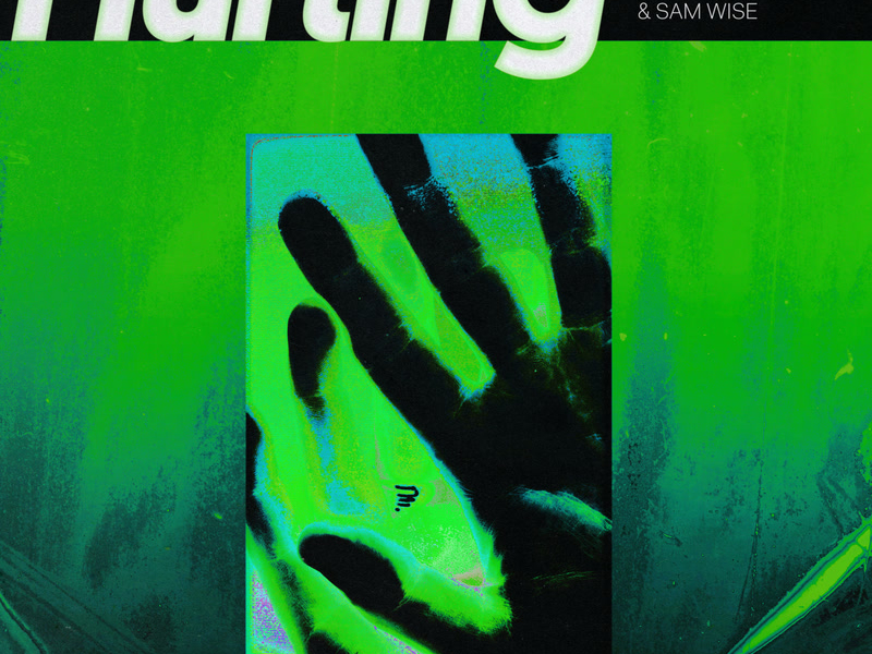 Hurting (Conducta Remix) (Single)