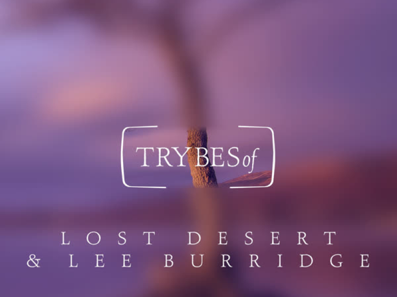 Somebody up There Likes You (Single)