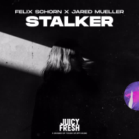 Stalker (Single)