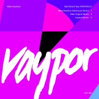 Bad Blood (Remixes) (Single)