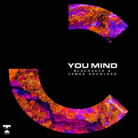 You Mind (Single)