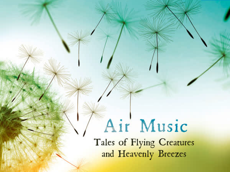 Air Music