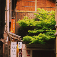 Japanese Sweets (Single)