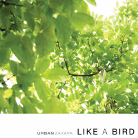 Like A Bird (Single)