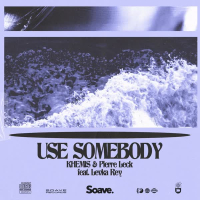 Use Somebody (feat. Levka Rey) (Single)