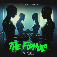 The Formula (Single)