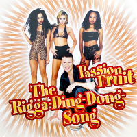 The Rigga-Ding-Dong-Song (Single)
