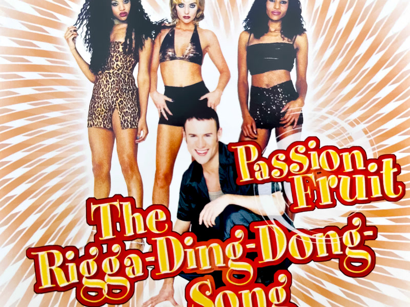 The Rigga-Ding-Dong-Song (Single)