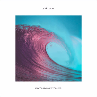 If I Could Make You Feel (Single)