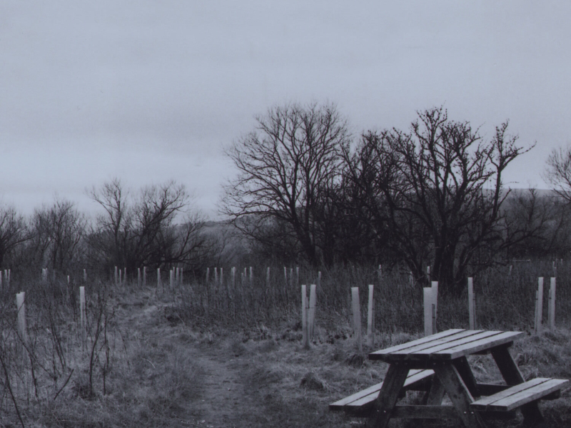 Sadboy (Edit) (Single)