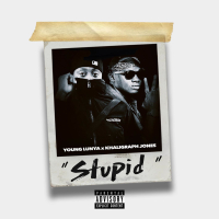 Stupid (Single)