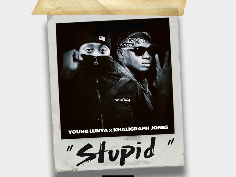 Stupid (Single)