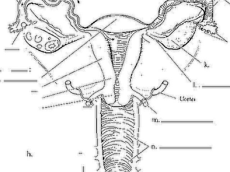 Coochie Man (Single)