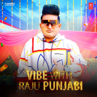 Vibe With Raju Punjabi (EP)