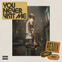 You Never Visit Me (Remix) (Single)