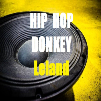 Hip Hop Donkey (Single)