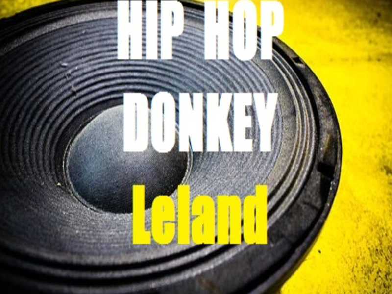 Hip Hop Donkey (Single)